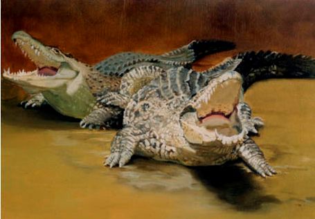Original Oil Painting of 2 crocodiles