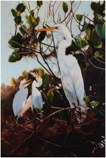 Original oil painting of Great Egrets