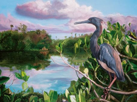 Original oil painting of Tri-colored Heron