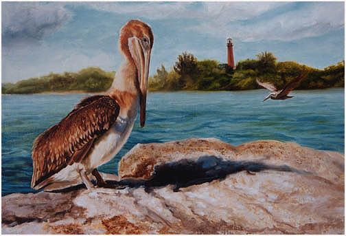 Original oil painting of Brown Pelican