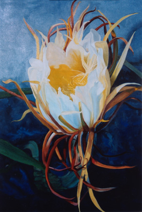 Original oil painting of cactus flower
