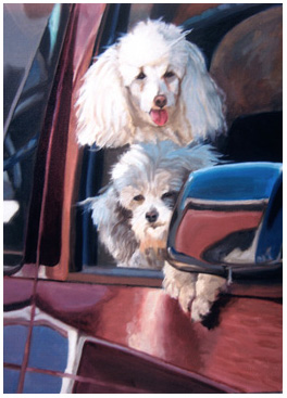 Original oil painting of 2 white miniature poodles in car window