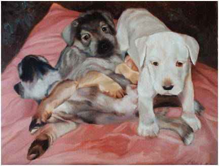 Original oil painting of Schnauzer puppies